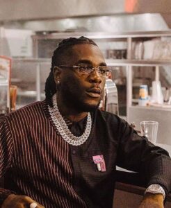 Biography of Damini Ebunoluwa Ogulu